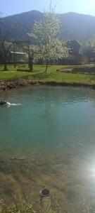 Готель Людмила,