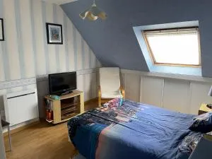 Les roses - 勒孔凯