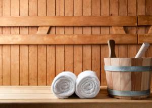 Panorama Suite with Sauna room in Austria Alpinhotel