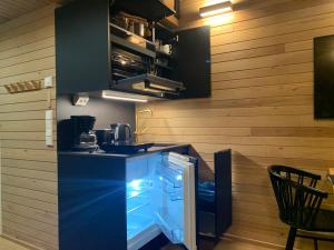 Villa Auroras Pöllö