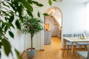 TOP FLOOR APARTMENT with TWO BALCONIES in the OLD TOWN