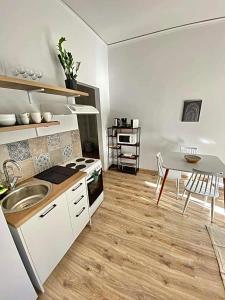 Comfortable apartment in the city center