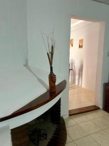 Departamento del Centro