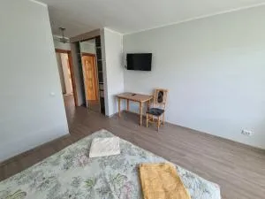 Andante - Vilkanastrai