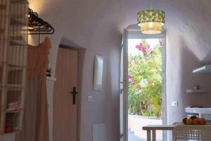 Bird Nest-Santorini Cave houses