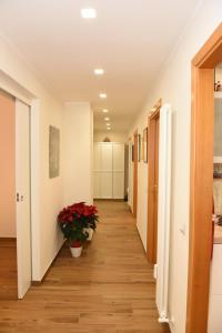 Camera e cameretta con bagno privato