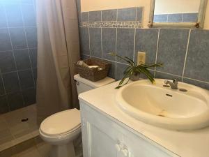 hostal Camping la ygriega