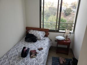 Hermoso y cómodo departamento en Viña del Mar