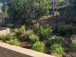 Hermoso y cómodo departamento en Viña del Mar