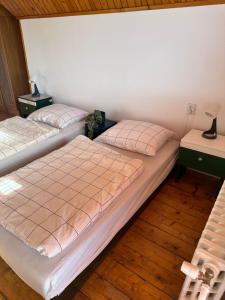 Cosy mountain home by the pond