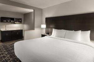 King Studio - Non-Smoking room in La Quinta Inn & Suites by Wyndham Lake George