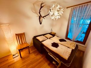 PREMIUM SKI INOUT - STEINADLER