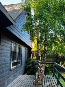 Cabaña El Nativo - Licán Ray