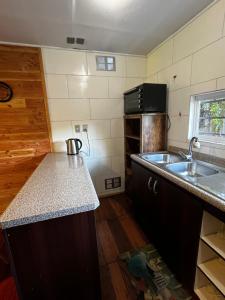 Cabaña El Nativo - Licán Ray