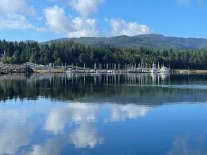 The Old Schoolhouse Lodge and Cabins - Coffman Cove