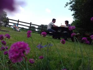 Maison de campagne familiale aux Alpes mancelles - 3 chambres, cheminée et activités proches - FR-1-410-149