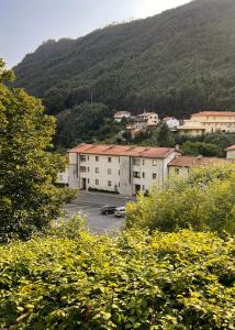 Refúgio do Vidoeiro