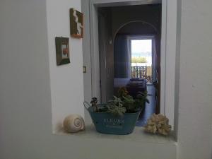 Stefos Rooms Syros Greece