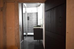 Le Petit Vauluisant Troyes Centre Historique, Charmant Duplex