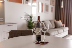 Bright Kaunas apartment with Castle view