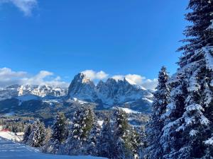 APP CESA VEDLA - Alpine Chalet-nature & silence
