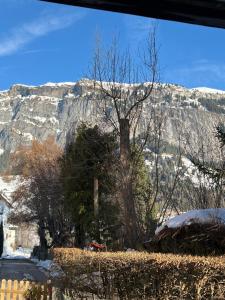 Privat Bed and Breakfast in Flims Waldhaus