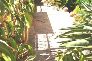 ITALIA GUESTHOUSe img13