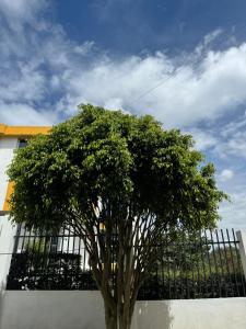 Cabaña El Recuerdo, Paipa