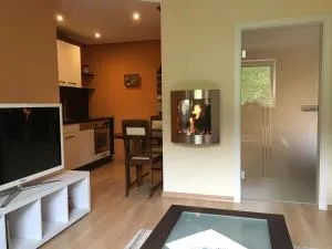 Weinrebe Oberhermsdorf nahe Dresden - Tharandt