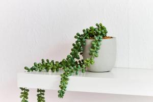 Simple 3 bed in Nottingham - Parking