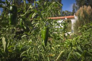 Entire villa hosted by Noam