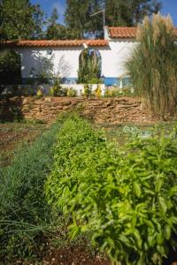 Entire villa hosted by Noam