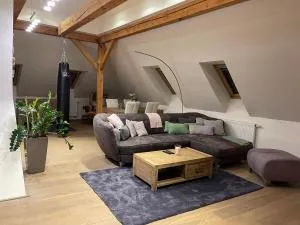 Apartmán v historickém centru - Chotoviny