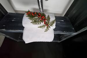 okeyloft Coyhaique 5