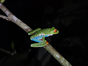 Bella Vista Guest house