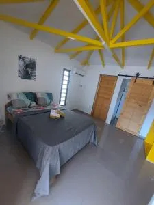 L’envolée bleue - Saint-Louis