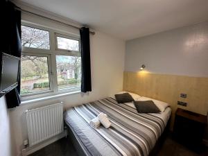 Single Room room in Gainsborough Lodge
