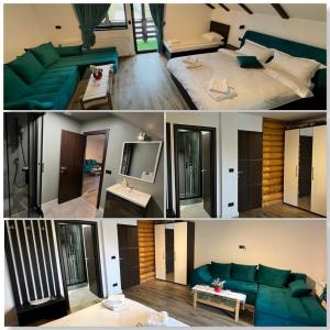 Pensiunea Lacul Arșiței