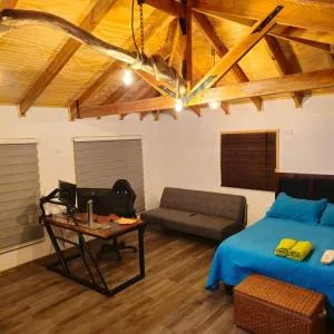 Cabañas rio Biobio - Loncopangue