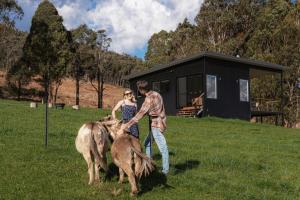 Deep Creek Farmstay