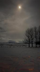 Kaldbakur Guesthouse