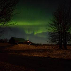 Kaldbakur Guesthouse