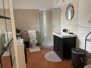 Spacious Cozy apartment 