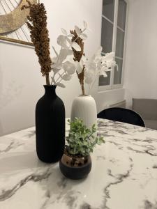 Appartements L'escale Versaillaise : photos des chambres