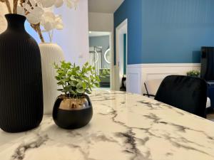 Appartements L'escale Versaillaise : photos des chambres