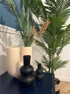 Appartements L'escale Versaillaise : photos des chambres