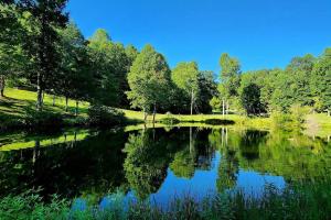 Woods Upon a Time Remodeled Cabin with Fireplace, Pond View & Firepit - Your Getaway Story Awaits!
