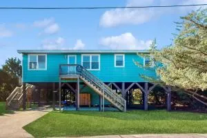 Dolphin Tales - Frisco