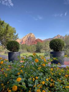 The Dahl House Of Sedona