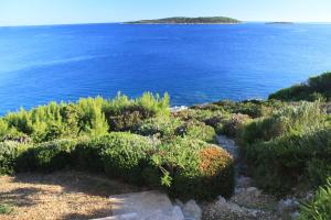 Apartments by the sea Milna, Vis - 8944
